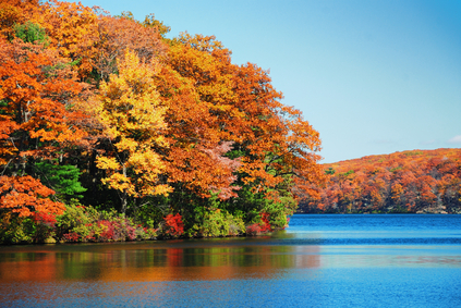 Autumn foliage over lake